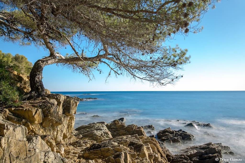 Roquebrune-Sur-Argens, Villa 2 Pieces, 4 Personnes Екстериор снимка
